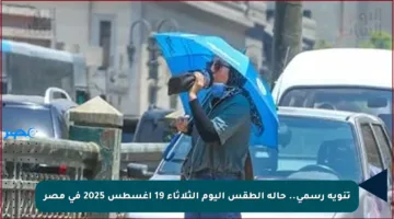 تنويه رسمي.. حالة الطقس اليوم الثلاثاء 19 أغسطس 2025 في مصر